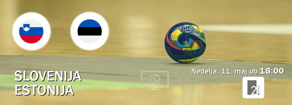 Ne zamudi prenosa tekme Slovenija - Estonija v živo na TV Slo 2.