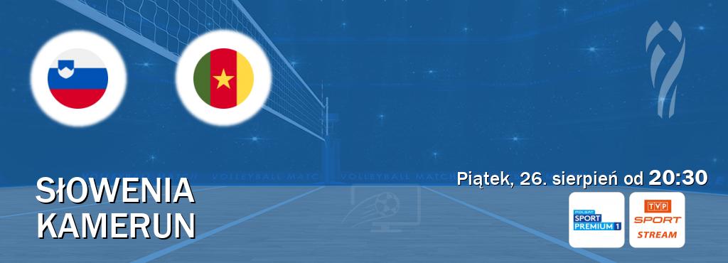 Gra między Słowenia i Kamerun transmisja na żywo w Polsat Sport Premium 1 i TVP Sport.pl (piątek, 26. sierpień od  20:30).