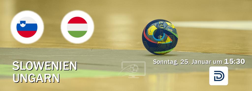 Das Spiel zwischen Slowenien und Ungarn wird am Sonntag, 25. Januar um  15:30, live vom DYN übertragen.