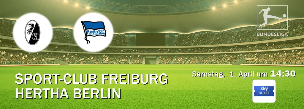 Das Spiel zwischen Sport-Club Freiburg und Hertha Berlin wird am Samstag,  1. April um  14:30, live vom Sky Ticket übertragen.