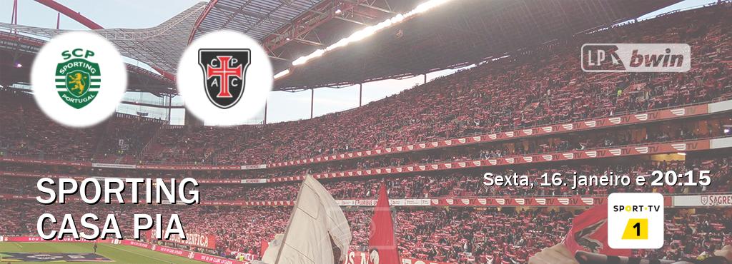 Jogo entre Sporting e Casa Pia tem emissão Sport TV 1 (sexta, 16. janeiro e  20:15).