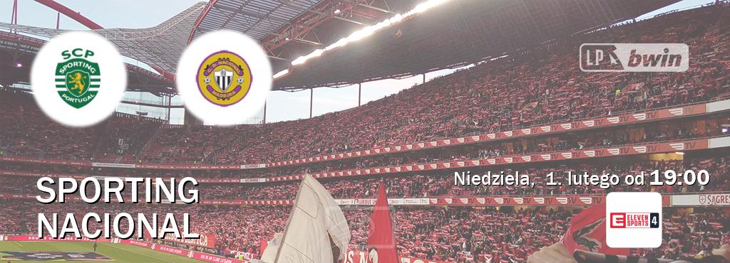 Gra między Sporting i Nacional transmisja na żywo w Eleven Sports 4 (niedziela,  1. lutego od  19:00).