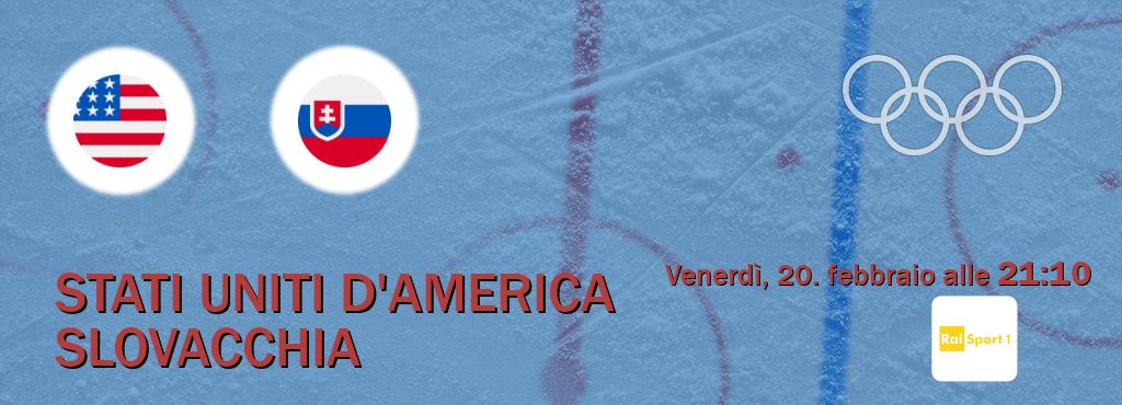 Il match Stati Uniti d'America - Slovacchia sarà trasmesso in diretta TV su Rai Sport (ore 21:10)