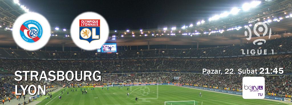 Karşılaşma Strasbourg - Lyon beIN SPORTS 4'den canlı yayınlanacak (Pazar, 22. Şubat  21:45).