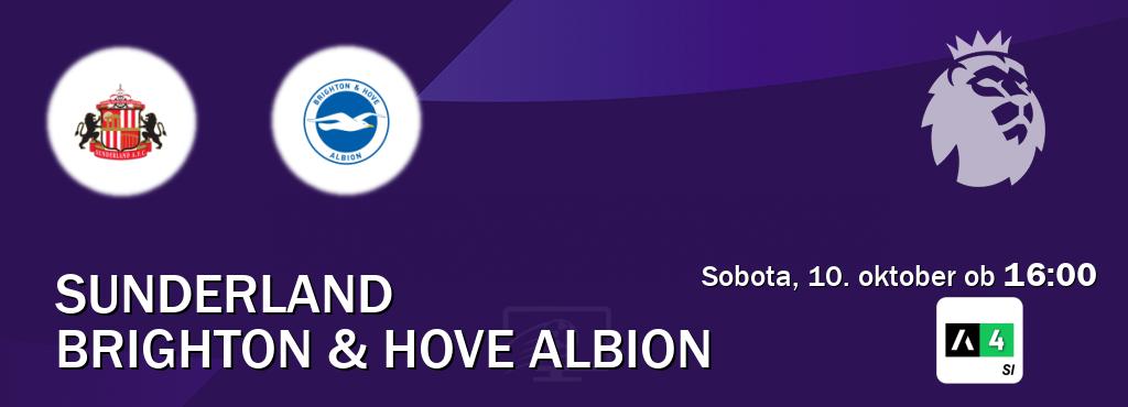 Ne zamudi prenosa tekme Sunderland - Brighton & Hove Albion v živo na Arena Sport 4.