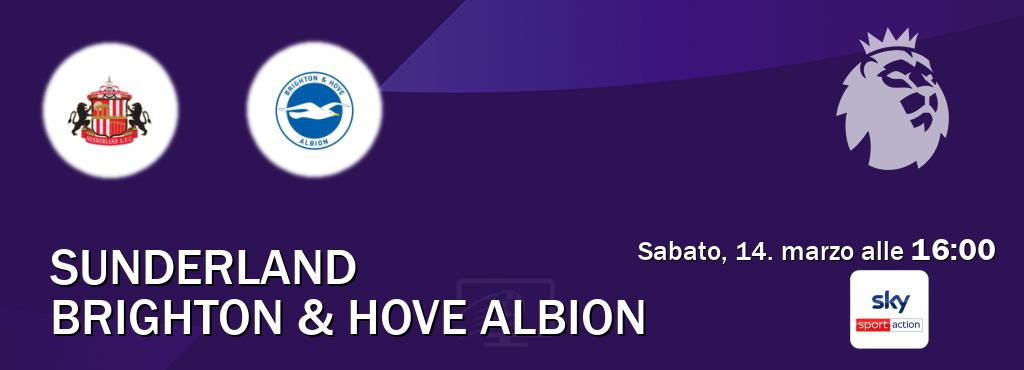 Il match Sunderland - Brighton & Hove Albion sarà trasmesso in diretta TV su Sky Sport Max (ore 16:00)