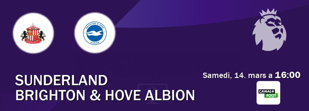 Match entre Sunderland et Brighton & Hove Albion en direct à la Canal+ Foot (samedi, 14. mars a  16:00).
