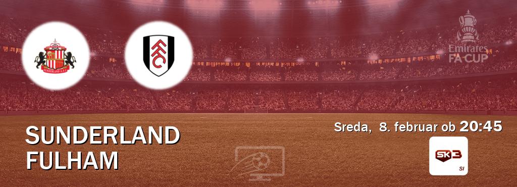 Ne zamudi prenosa tekme Sunderland - Fulham v živo na Sportklub 3.