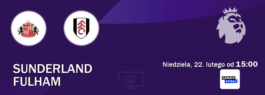 Gra między Sunderland i Fulham transmisja na żywo w Canal+ Extra 3 (niedziela, 22. lutego od  15:00).