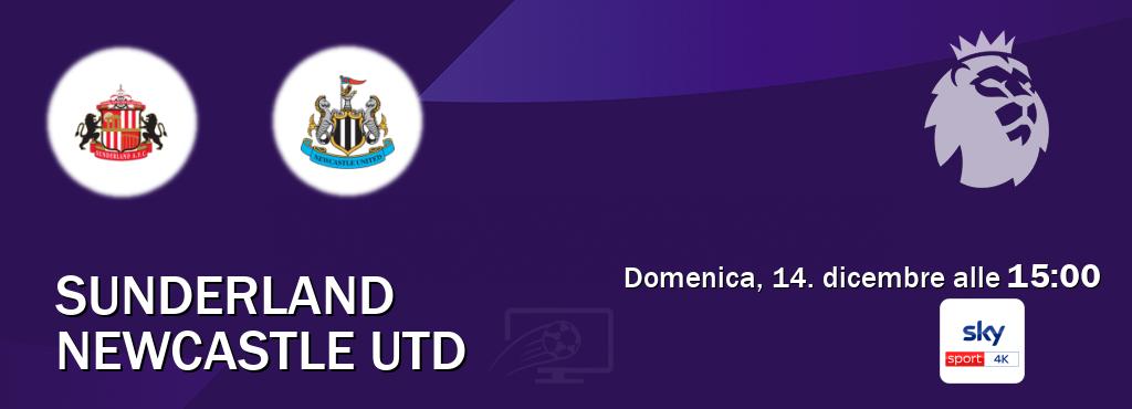 Il match Sunderland - Newcastle Utd sarà trasmesso in diretta TV su Sky Sport 4K (ore 15:00) Il match Sunderland - Newcastle Utd sarà trasmesso in diretta TV su Sky Sport 4K (ore 15:00)