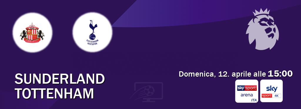 Il match Sunderland - Tottenham sarà trasmesso in diretta TV su Sky Sport Arena e Sky Sport 4K (ore 15:00)