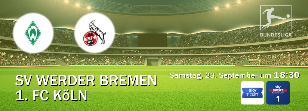Das Spiel zwischen SV Werder Bremen und 1. FC Köln wird am Samstag, 23. September um  18:30, live vom Sky Ticket und Sky Bundesliga 1 übertragen.