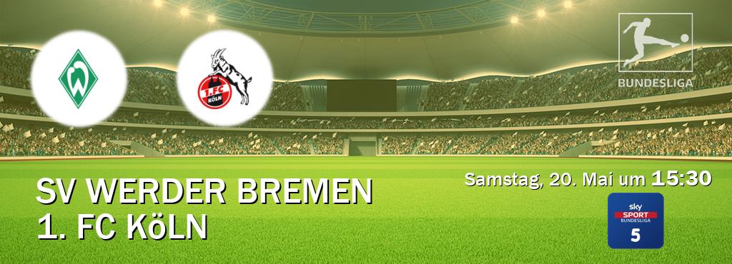 Das Spiel zwischen SV Werder Bremen und 1. FC Köln wird am Samstag, 20. Mai um  15:30, live vom Sky Bundesliga 5 übertragen.