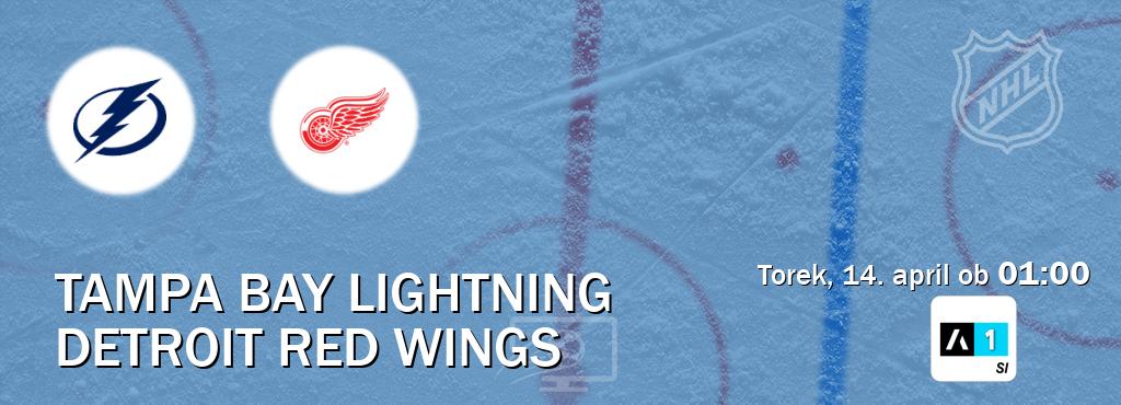 Tampa Bay Lightning in Detroit Red Wings v živo na Arena Sport 1. Prenos tekme bo v torek, 14. april ob  01:00