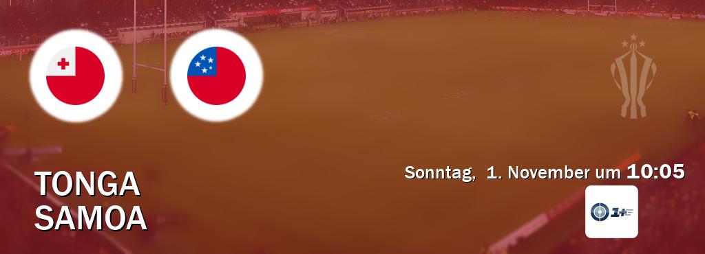 Das Spiel zwischen Tonga und Samoa wird am Sonntag,  1. November um  10:05, live vom Sportdigital+ übertragen.