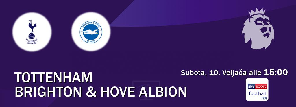 Il match Tottenham - Brighton & Hove Albion sarà trasmesso in diretta TV su Sky Sport Football (ore 15:00)
