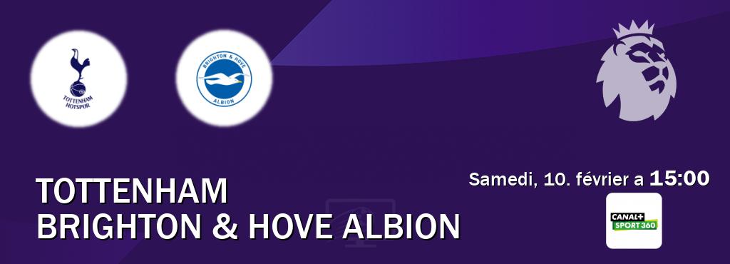Match entre Tottenham et Brighton & Hove Albion en direct à la Canal+ Sport 360 (samedi, 10. février a  15:00).