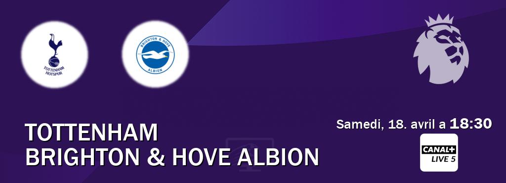 Match entre Tottenham et Brighton & Hove Albion en direct à la Canal+ Live 5 (samedi, 18. avril a  18:30).