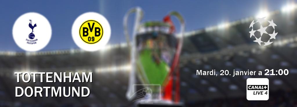 Match entre Tottenham et Dortmund en direct à la Canal+ Live 4 (mardi, 20. janvier a  21:00).