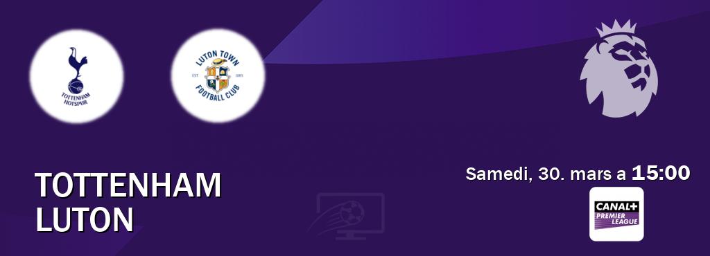 Match entre Tottenham et Luton en direct à la Canal+ Premier League (samedi, 30. mars a  15:00).