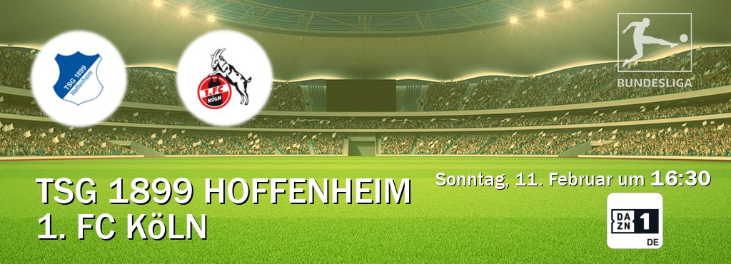 Das Spiel zwischen TSG 1899 Hoffenheim und 1. FC Köln wird am Sonntag, 11. Februar um  16:30, live vom DAZN 1 Deutschland übertragen.