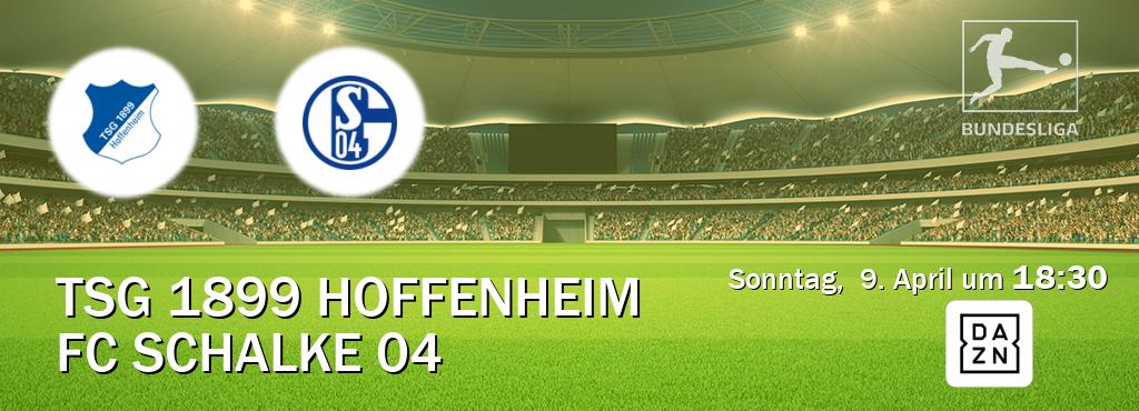 Das Spiel zwischen TSG 1899 Hoffenheim und FC Schalke 04 wird am Sonntag,  9. April um  18:30, live vom DAZN übertragen.