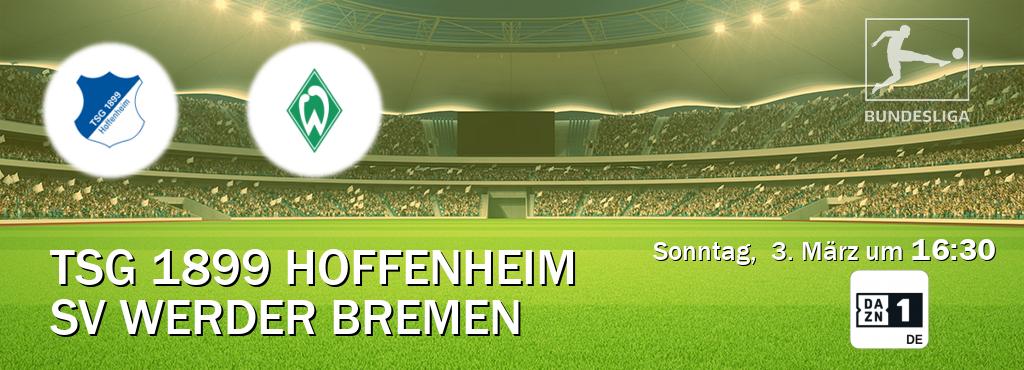 Das Spiel zwischen TSG 1899 Hoffenheim und SV Werder Bremen wird am Sonntag,  3. März um  16:30, live vom DAZN 1 Deutschland übertragen.
