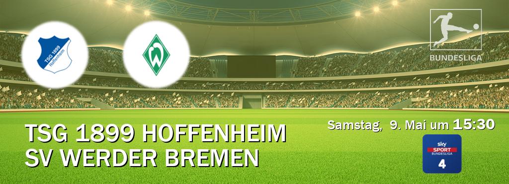 Das Spiel zwischen TSG 1899 Hoffenheim und SV Werder Bremen wird am Samstag,  9. Mai um  15:30, live vom Sky Bundesliga 4 übertragen.