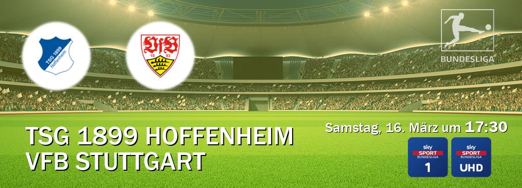Das Spiel zwischen TSG 1899 Hoffenheim und VfB Stuttgart wird am Samstag, 16. März um  17:30, live vom Sky Bundesliga 1 und Sky Bundesliga UHD übertragen.