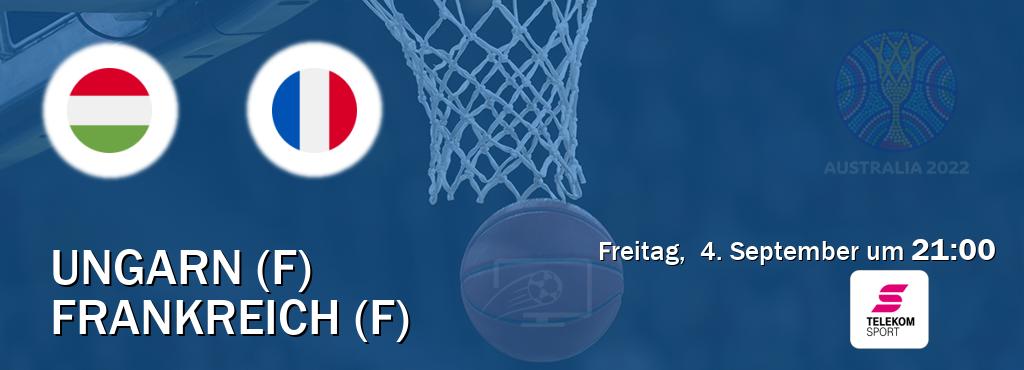 Das Spiel zwischen Ungarn (F) und Frankreich (F) wird am Freitag,  4. September um  21:00, live vom Magenta Sport übertragen.