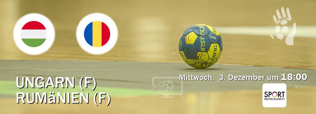 Das Spiel zwischen Ungarn (F) und Rumänien (F) wird am Mittwoch,  3. Dezember um  18:00, live vom Sportdeutschland.TV übertragen.