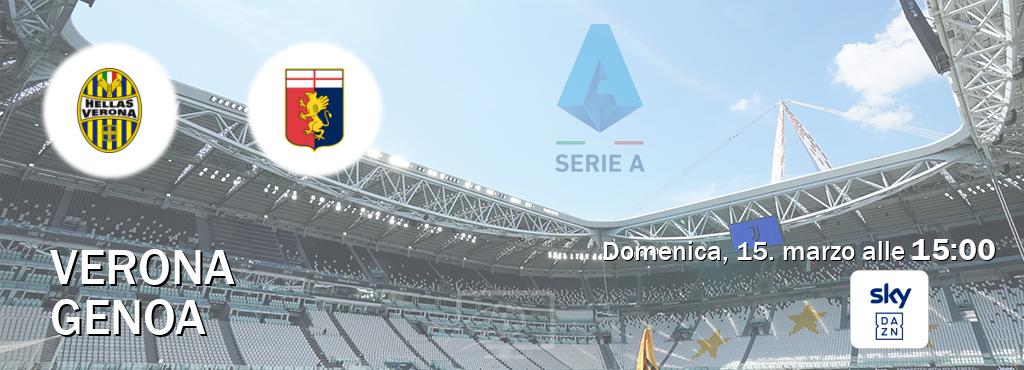 Il match Verona - Genoa sarà trasmesso in diretta TV su Sky Sport Bar (ore 15:00)