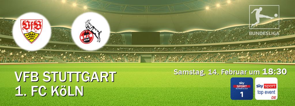 Das Spiel zwischen VfB Stuttgart und 1. FC Köln wird am Samstag, 14. Februar um 18:30, live vom Sky Bundesliga 1 und Sky Sport Top Event übertragen. Das Spiel zwischen VfB Stuttgart und 1. FC Köln wird am Samstag, 14. Februar um 18:30, live vom Sky Bundesliga 1 und Sky Sport Top Event übertragen.