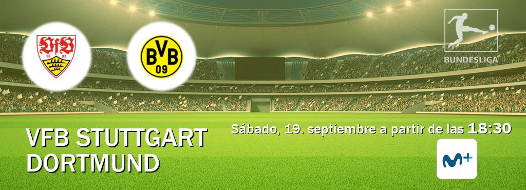 El partido entre VfB Stuttgart y Dortmund será retransmitido por Movistar Liga de Campeones  (sábado, 19. septiembre a partir de las  18:30).