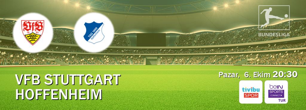 Karşılaşma VfB Stuttgart - Hoffenheim Tivibu Spor ve Bein Sports Connect'den canlı yayınlanacak (Pazar,  6. Ekim  20:30).