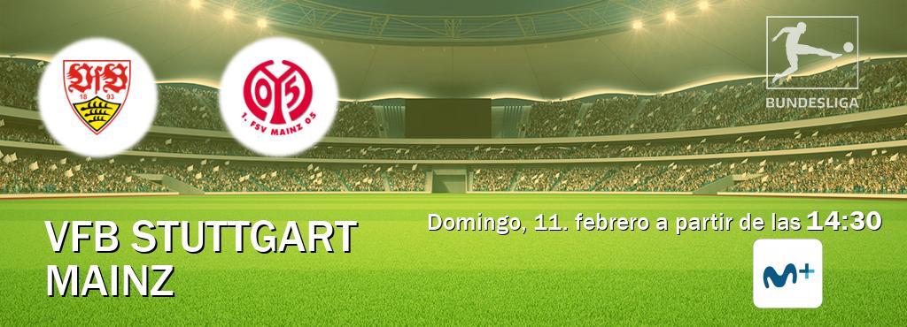 El partido entre VfB Stuttgart y Mainz será retransmitido por Movistar Liga de Campeones  (domingo, 11. febrero a partir de las  14:30).