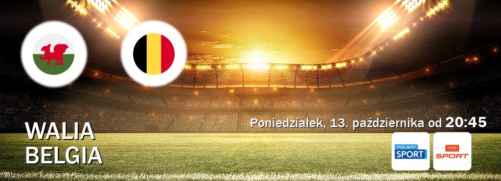 Gra między Walia i Belgia transmisja na żywo w Polsat Sport i TVP Sport (poniedziałek, 13. października od 20:45). Gra między Walia i Belgia transmisja na żywo w Polsat Sport i TVP Sport (poniedziałek, 13. października od 20:45).