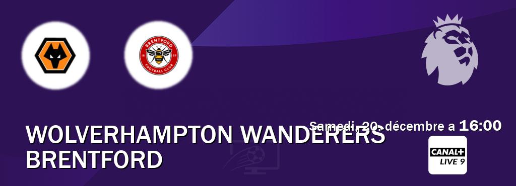 Match entre Wolverhampton Wanderers et Brentford en direct à la Canal+ Live 9 (samedi, 20. décembre a  16:00).