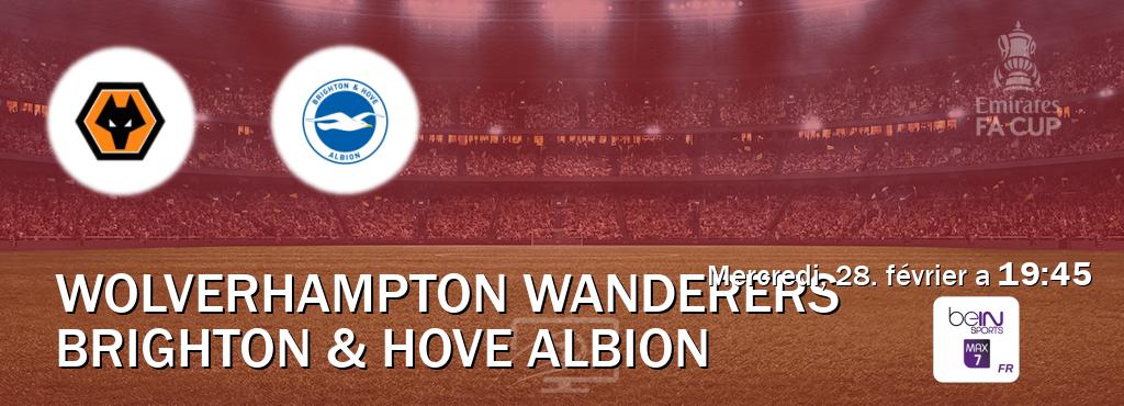 Match entre Wolverhampton Wanderers et Brighton & Hove Albion en direct à la beIN Sports 7 Max (mercredi, 28. février a  19:45).