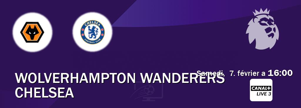 Match entre Wolverhampton Wanderers et Chelsea en direct à la Canal+ Live 3 (samedi,  7. février a  16:00).
