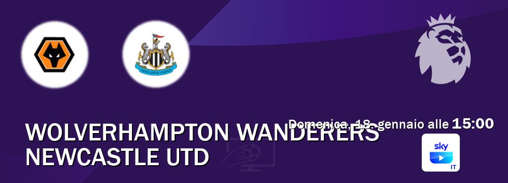 Il match Wolverhampton Wanderers - Newcastle Utd sarà trasmesso in diretta TV su SKY Go Italia (ore 15:00)