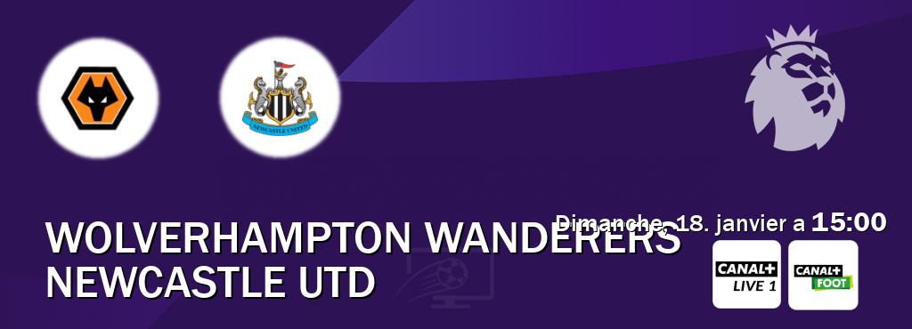 Match entre Wolverhampton Wanderers et Newcastle Utd en direct à la Canal+ Live 1 et Canal+ Foot (dimanche, 18. janvier a  15:00).