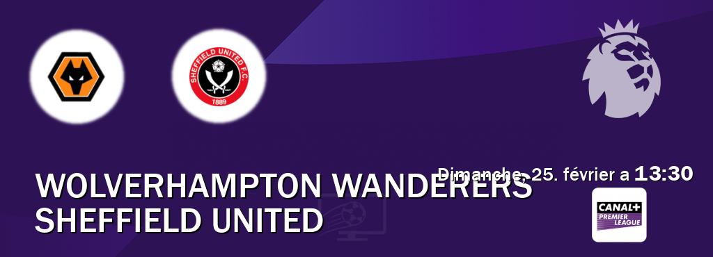 Match entre Wolverhampton Wanderers et Sheffield United en direct à la Canal+ Premier League (dimanche, 25. février a  13:30).