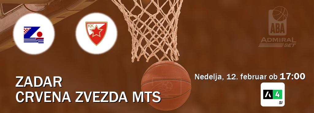 Ne zamudi prenosa tekme Zadar - Crvena zvezda mts v živo na Arena Sport 4.