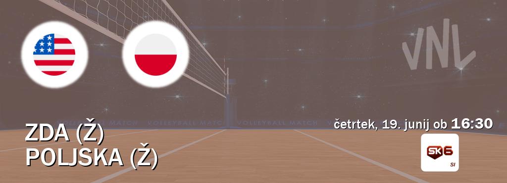 Prenos tekme med ZDA (Ž) in Poljska (Ž) v živo na Sportklub 6 (četrtek, 19. junij ob  16:30 uri).